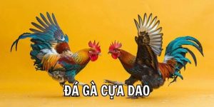 Đá Gà S666: Lựa Chọn Hàng Đầu Của Dân Chơi Mê Đối Kháng - aviro.games