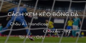 Thể Thao S666 Gây Ấn Tượng Với Kèo Thơm, Cược Trung Thực - aviro.games
