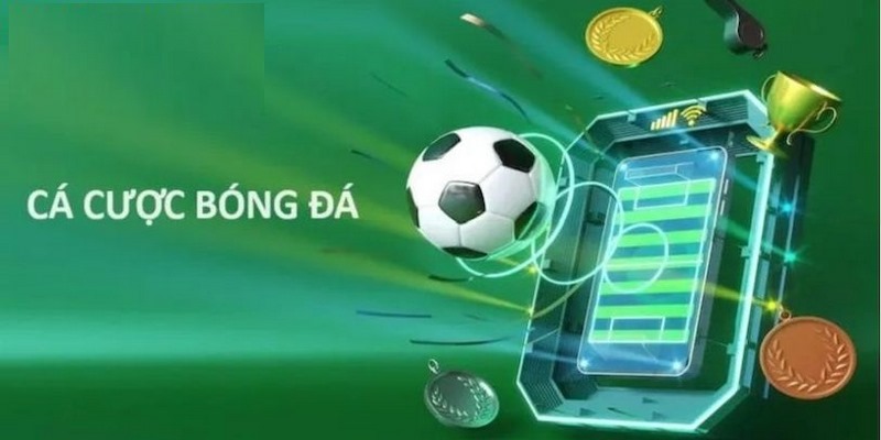 Soi Kèo Bóng Đá S666 - Hướng Dẫn Cách Thức Soi Chuẩn Xác - aviro.games