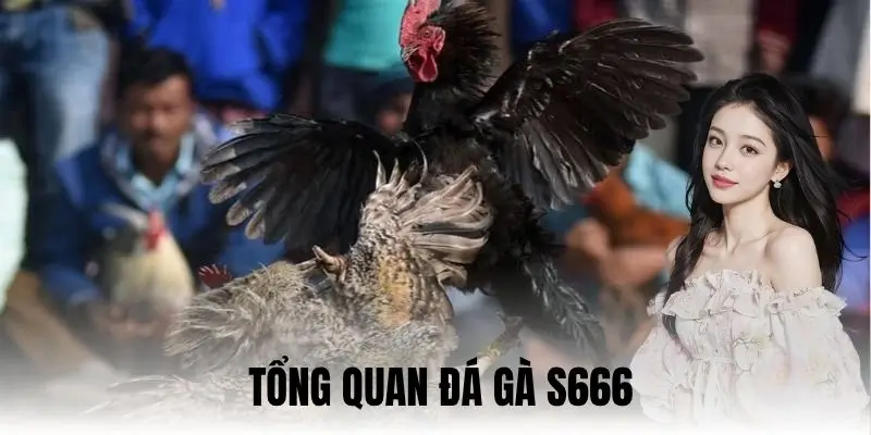 Đá Gà S666: Lựa Chọn Hàng Đầu Của Dân Chơi Mê Đối Kháng - aviro.games