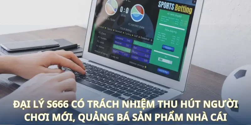 Đại Lý S666 - Tổng Hợp Thông Tin Chính Sách Và Quyền Lợi - aviro.games