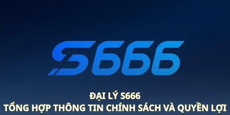 Đại Lý S666 - Tổng Hợp Thông Tin Chính Sách Và Quyền Lợi - aviro.games