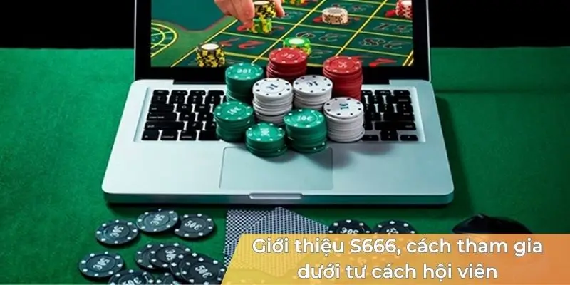 Giới Thiệu S666 - Chuyên Trang Sở Hữu Sản Phẩm Chất Lượng - aviro.games