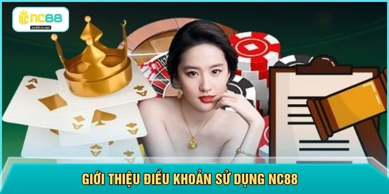 Điều Khoản Sử Dụng NC88 - Cập Nhật Mới Nhất Năm 2026 - aviro.games Điều Khoản Sử Dụng NC88 - Cập Nhật Mới Nhất Năm 2026 - aviro.games
