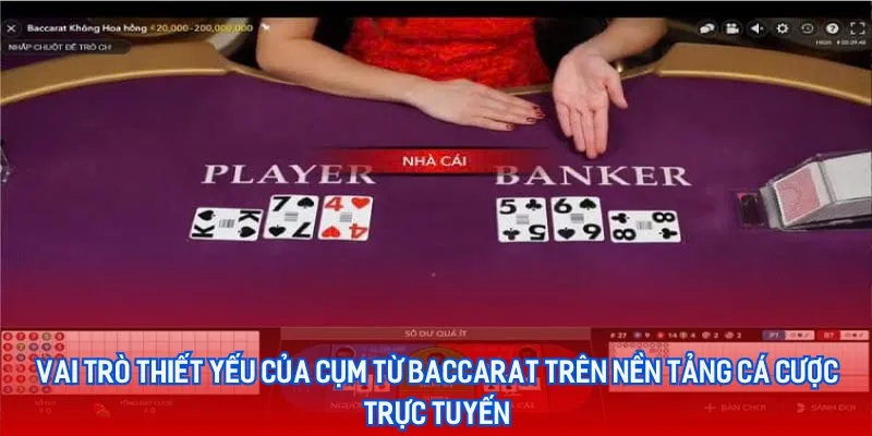 Thuật Ngữ Trong Baccarat Phổ Biến Dành Cho Tân Thủ - aviro.games